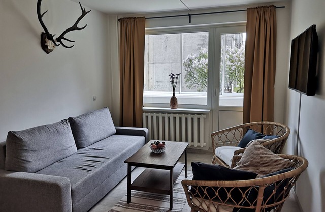 Homely Apartment in Kedainiai