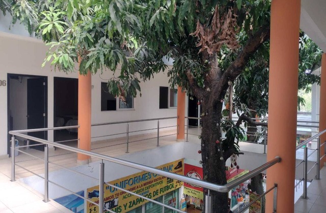Hotel Centro Valles