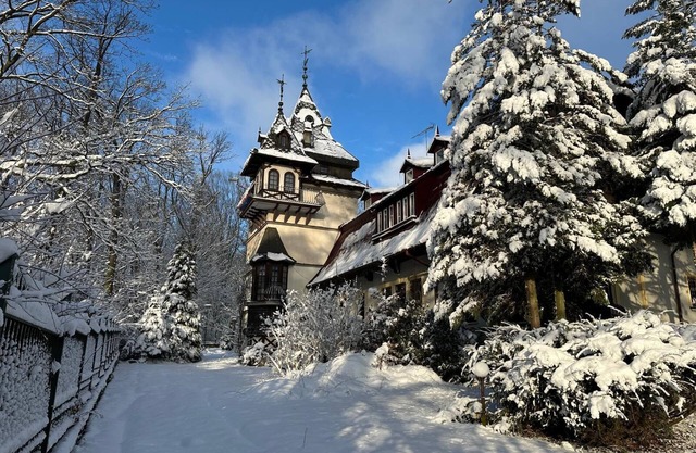 Hotel Daria
