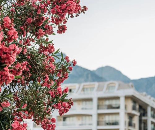 Hotel Nobo Nest