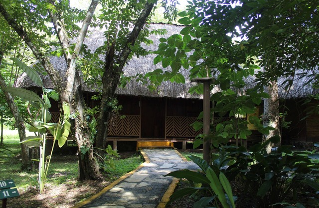 Hotel Nueva Alianza