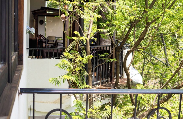 HOTEL SOLACHE INN