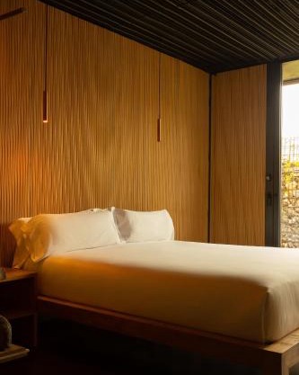 Hotel Torre Mayorazgo