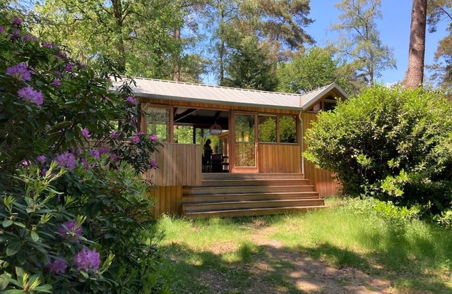 Houten bosvilla met sauna en 2 slaapkamers