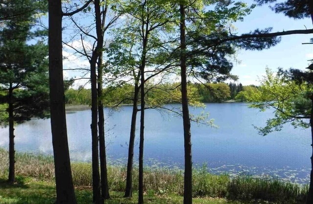 Hudson: Martin Van Buren lake cottage lll (3)