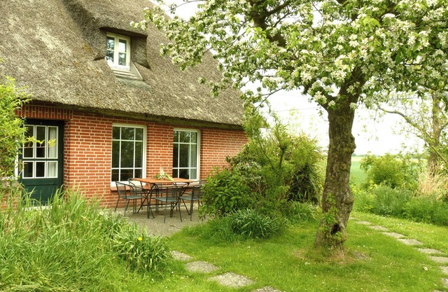 Idyllic half of the thatched house with wood-burning stove (dogs welcome)