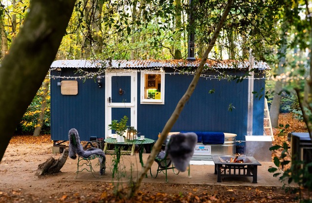 If you go into the woods today. Off-grid yet comfy, warm and luxurious