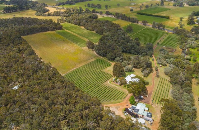 Island Brook Estate Vineyard and Chalets