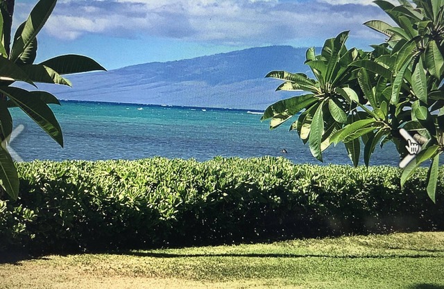 ISLAND OF MOLOKAI nWAVECREST A BUILDINGnSTEPS FROM OCEANn100+ PER NT /10 NT MIN