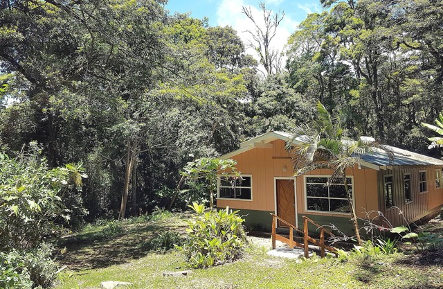 Jardín del Bosque Para Disfrutar la Naturaleza