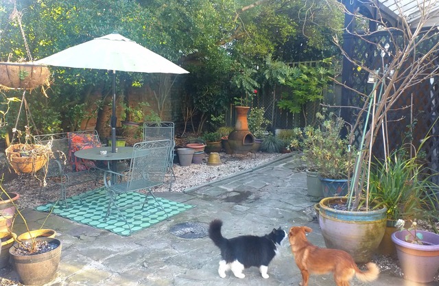 Jesmond Vegan B&B
