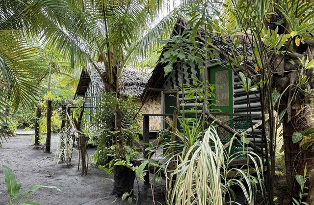 Jungle Oasis
