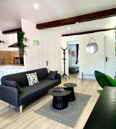 Jungle Suite - Draguignan