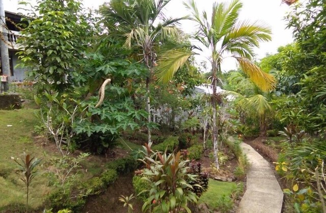 Jupiter's Garden Resort