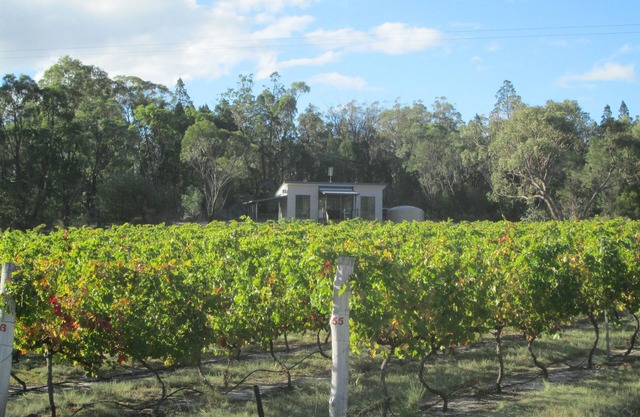 Just Red Wines Vineyard Cabins