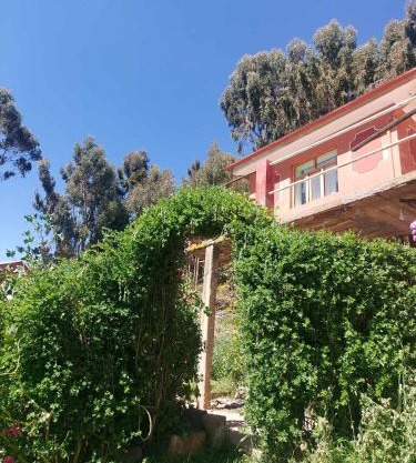 Kactus Lodge - Amantani