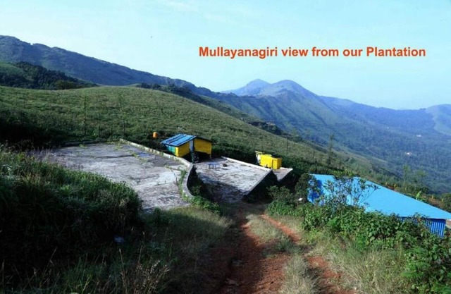 KANASU HOMESTAY IT IS PLACE LOCATED IN BETWEEN MOUNTAINS COFFEE ESTATES