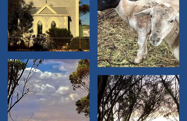 Katz Retreat, interactive farm stay