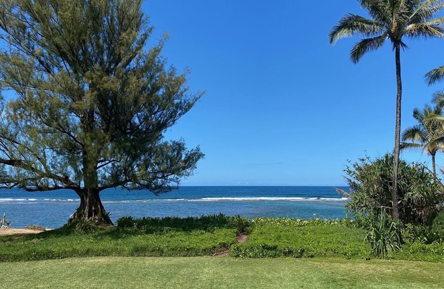 Kauai North Shore Oceanfront - Mountain View Beachouse TVNC#1136 Tsunami Zone