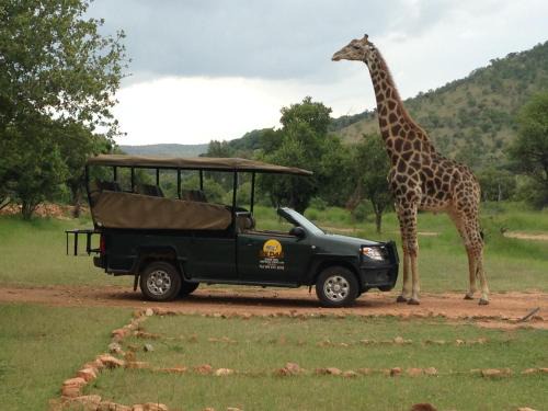 Kedar Heritage Lodge, Conference Centre & Spa