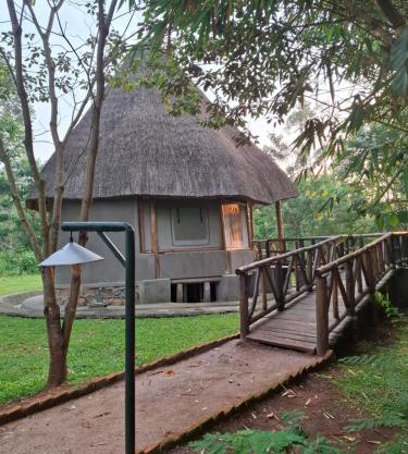 Kibale Canopy Lodge