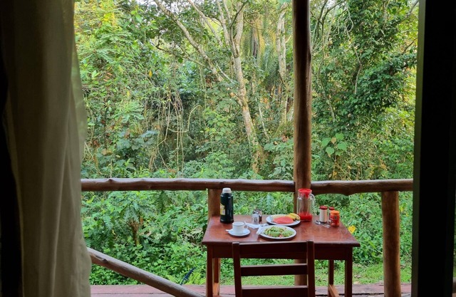 Kibale River Camp