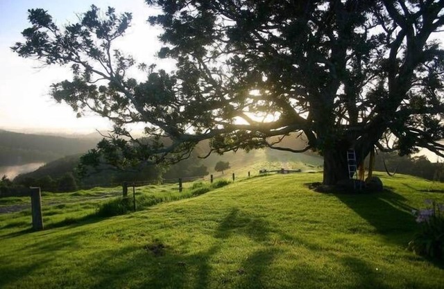 Kilfeacle Farm Cottage - Relaxing View