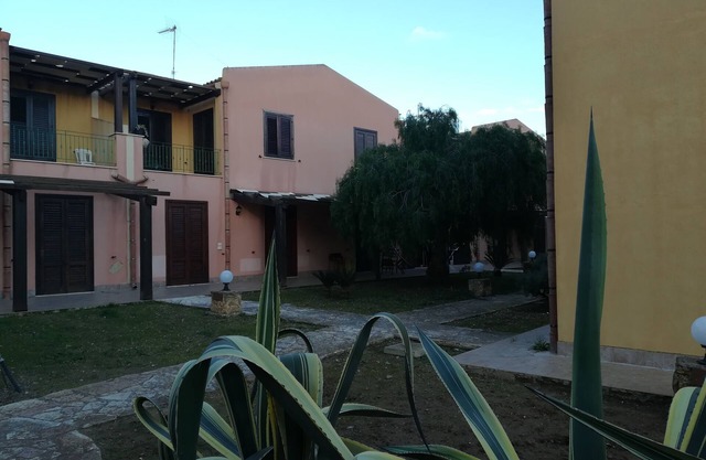 Kite Francy's House