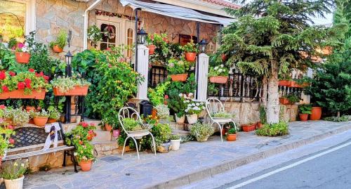 Kyperounta Troodos mountain house
