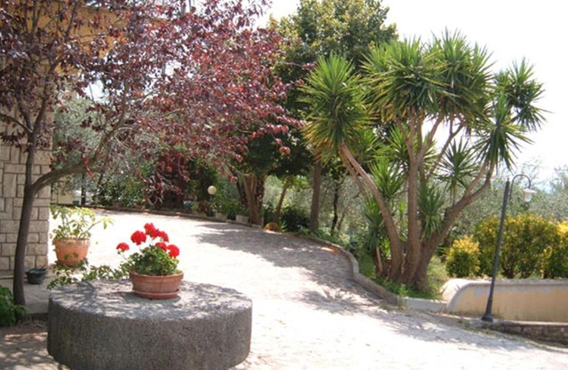 L'Uliveto