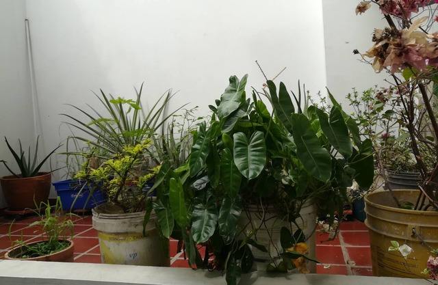 La Casita Morada