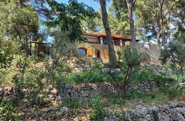 LA Maison Dans LES Pins
