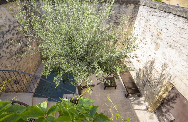 La Petite Baronne - in the heart of the Gard at walking distance from the village