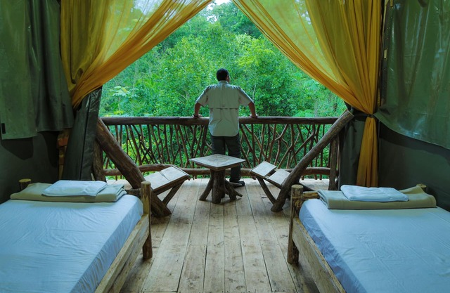 La Tigra Rainforest Lodge