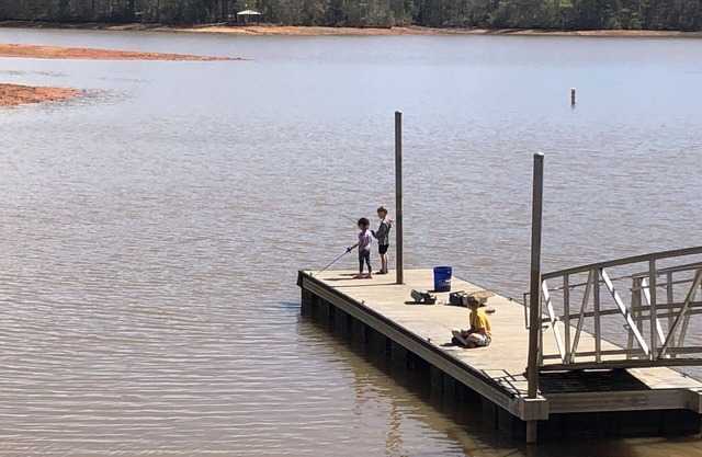 Lake Wedowee Bass House