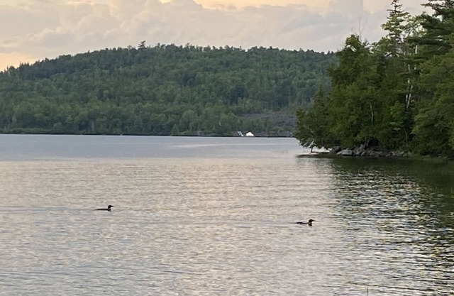 Lakefront cottage with privacy and charm!