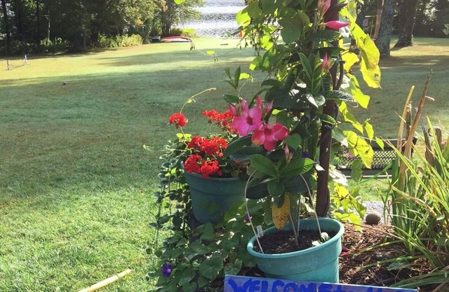 Lakefront Summer Cottages~Sparkling clean social distancing space!
