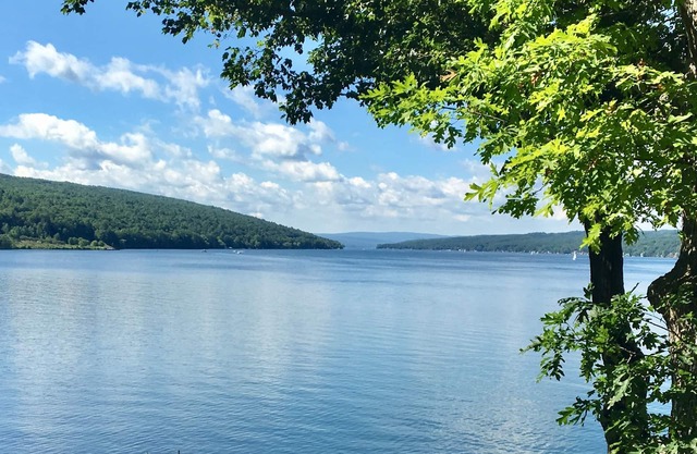 Lakeside cottage on quiet, private road. Walk to Keuka Lake State Park!