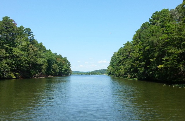 Lakeside retreat with private dock on Palmerville Lake!