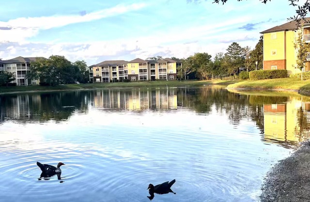 Lakeview Apt Close to Beaches, Airport, Downtown!