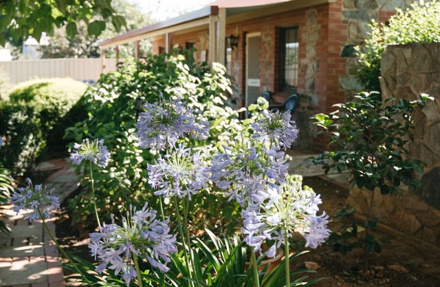 Langmeil Cottages - Wattle