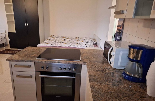 Large 1-room apartment-Mark