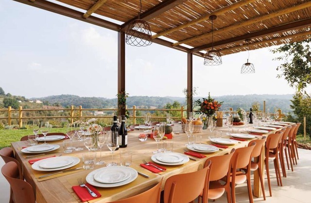 Large villa in Piedmont