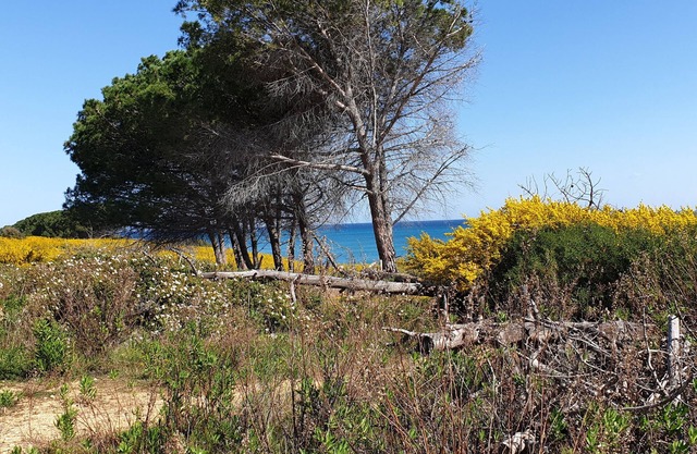 Le Temps D'une île en Tout Compris