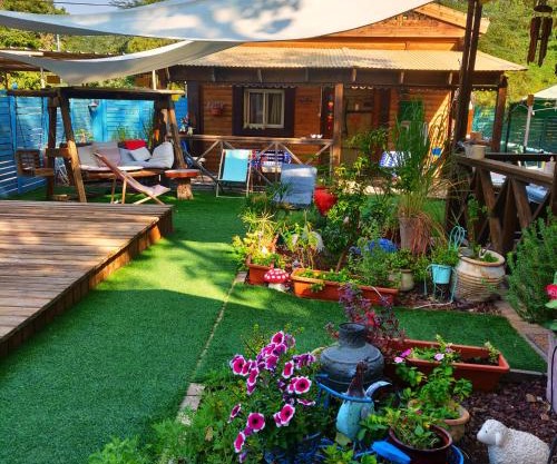 Libi Bamidbar, Healing & Relaxation Resort in The Dead Sea