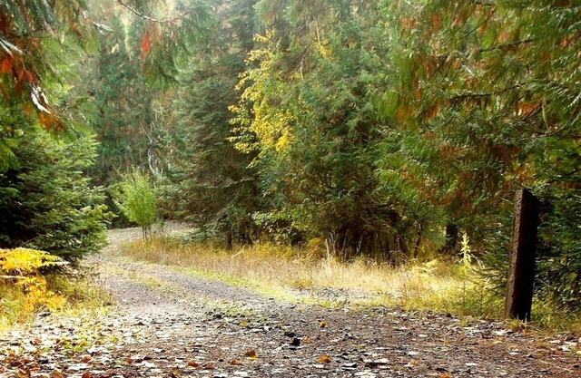 Lifewater Ranch - A Place Of Rest And Healing. Fishing, Hiking, Spa, Pool