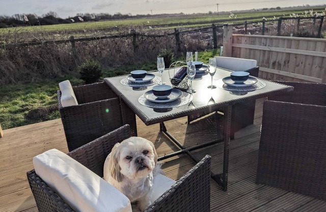 Lighthouse Lodge - Peaceful & Dog Friendly