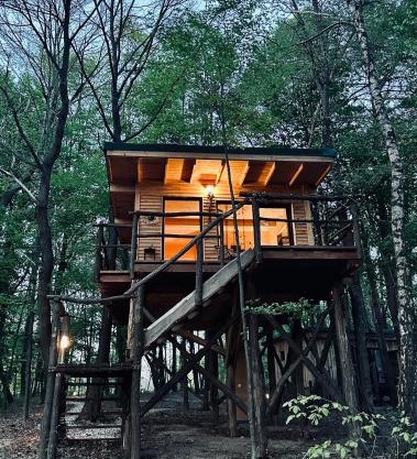 Living Forest Resort