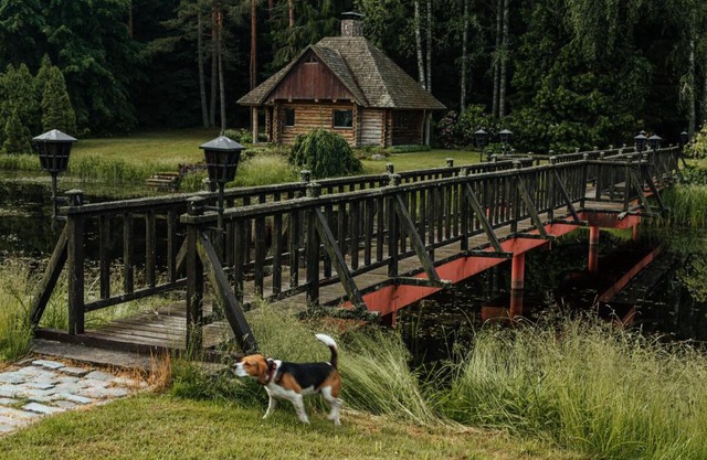 Log Cabin