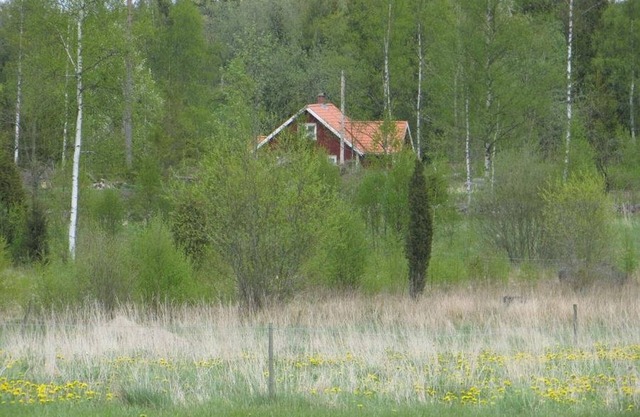 Log Cabin with Boat at Lake Åsnen, Fast Internet, 3 bedrooms, Sleeps 6, Pets OK